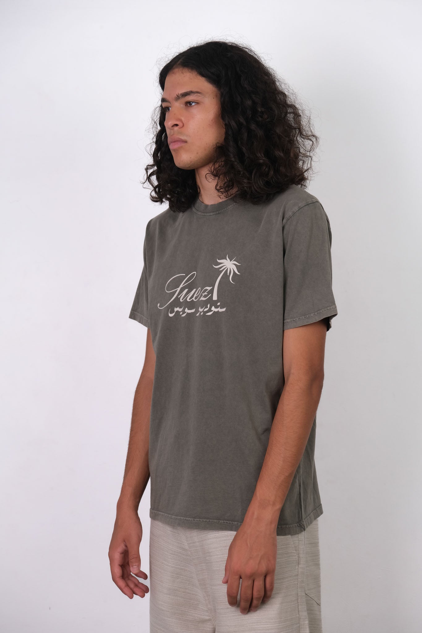 VINTAGE KHAKI PALM TREE TEE